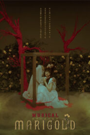 Musical – MARIGOLD-